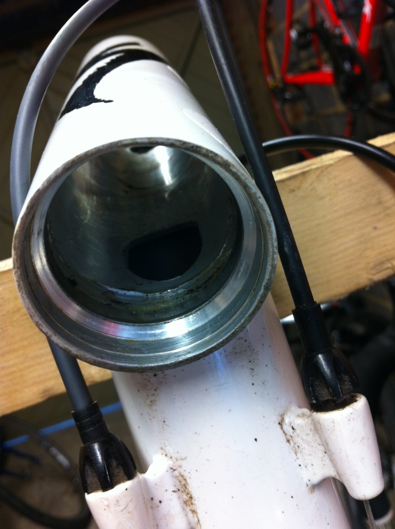Specialized Allez Head tube with bearings removed, ready for replacement.