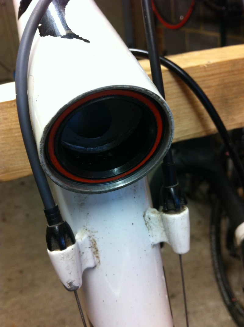 Specialized Allez Headset bearings pressed into head tube.